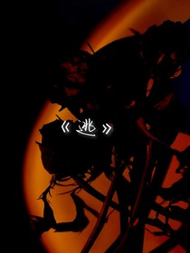 TNT之逃-d203