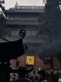 蝶蓝无罪