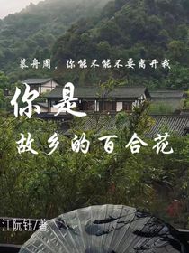 你是故乡的百合花