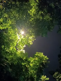 我和你的現在進行時