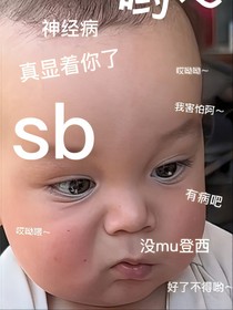 表情包（不是小說）