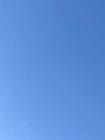 陳情令——溫碧顏