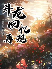 斗龙回忆再现