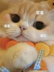 一不小心攻略了大佬