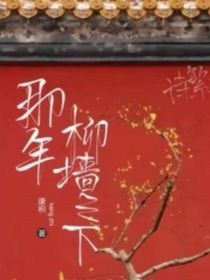 TNT：那年柳树之下