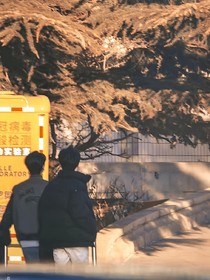 书名正在修改1691293546371761021
