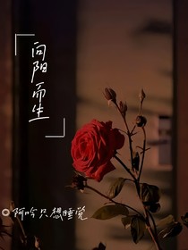 玫瑰坊