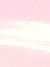 專屬盛夏回憶
