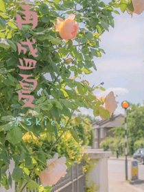 再盛夏