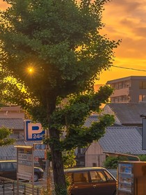 文松高中