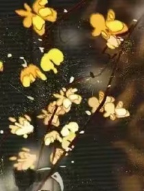 黏腻