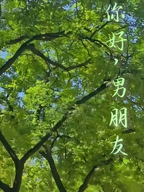 你好，我的boyfriend