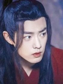 陈情令之魏无羡遨游