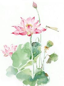 繁花落地笑起涟漪