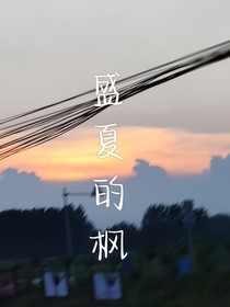 盛夏的枫