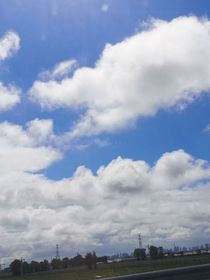 离经叛道缠上我