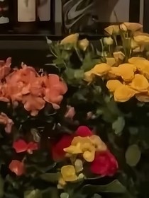 慕之夏