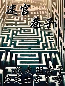 迷宫巷子