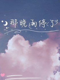 那晚雨停了