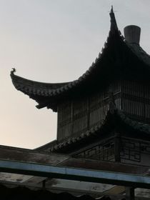 纸源