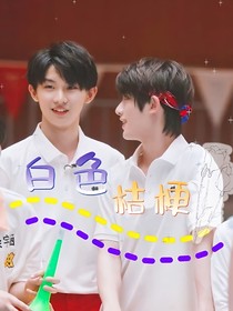 白色桔梗花……