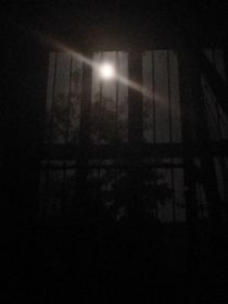 灼空