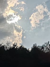 想再見你
