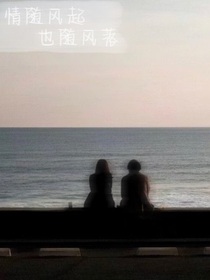 情随风起也随风落