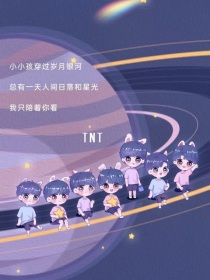 TNT：马甲文