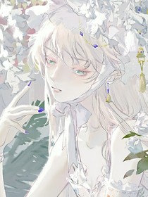婕彩愿