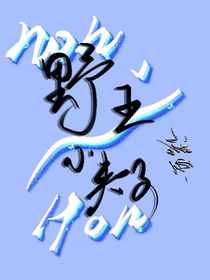 野王小夹子
