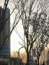 马嘉祺别太装
