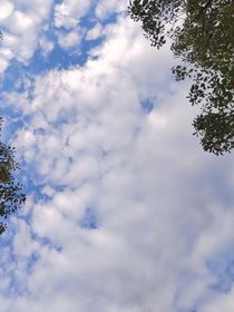 终极笔记之娇娇解灵雨