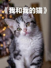 我和我的喵