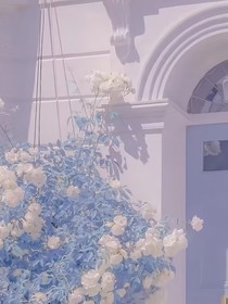 书名正在修改1691738879514032072