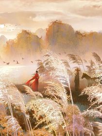 许一雨季