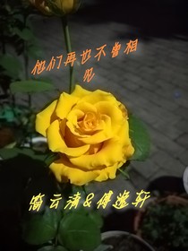 他們再也不曾相見