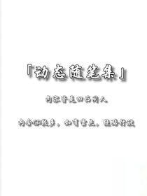 动态随笔集