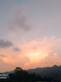 情韵