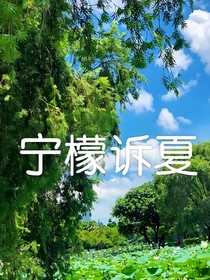 柠檬诉夏