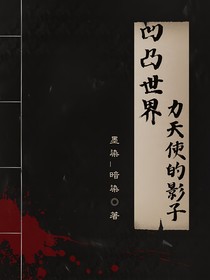 凹凸世界：力天使的影子