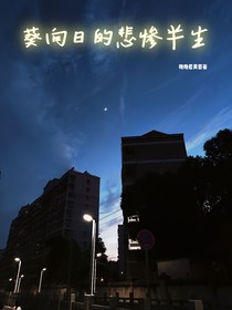 葵向日的悲惨半生