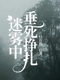 迷雾中垂死挣扎