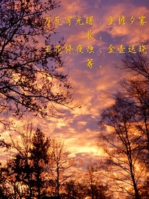 沉醉不知归路：只为你一人沉醉-d843