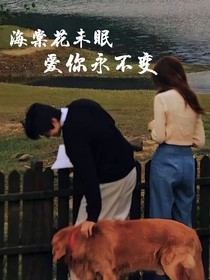 海棠花未眠，愛你永不變