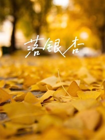 落银杏
