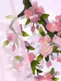 承光