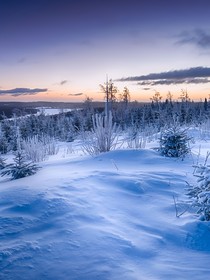 幻想：雪亦血