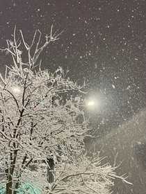 TF三代：东雪