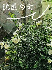 隐匿与云